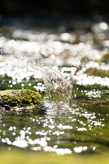 Wasser spritzt hoch im Bach in der Natur