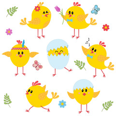 chicken clip art set isolated on white background, color vector illustration