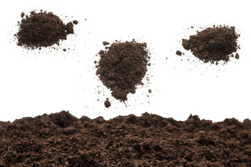 Black land for plant.