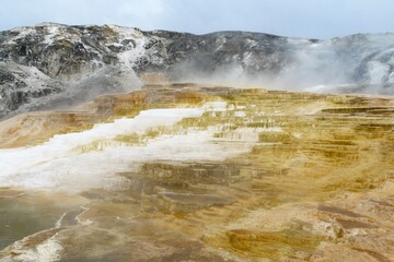 Palette Spring Terrace at Mammoth Hot Springs in Yellowstone National Park, Wyoming, USA