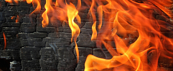 wood background is burning with fire