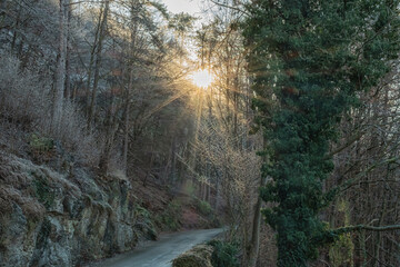 winter road in kipfenberg germany
