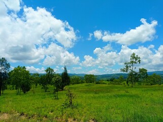 field and blue sky