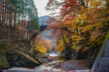 アーチ型の橋と紅葉