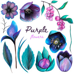 purple flowers, bells, poppy, stems, leaves, berries, rowan, bud, chamomile, petals, twig, botanical composition, flower decor, clip art watercolor - 419844155