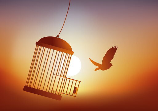 Concept de la liberté, avec un oiseau qui s’évade de sa cage et qui s’envole devant un coucher du soleil.