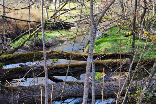 Helme River Conservation Area