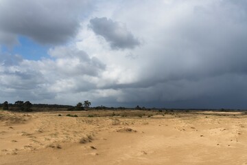National Park de Hoge Veluwe in the Netherlands - de Pollen