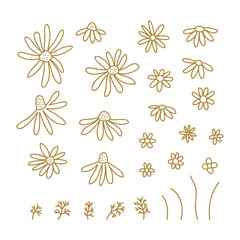 Chamomile wildflower line art clipart set. Botanical collection of doodle flowers. Vector illustration isolated on white background. Daisy simple hand drawn design elements.