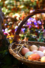 eier im korb © Christine