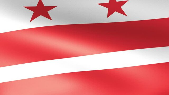 District of Columbia Flag Waving