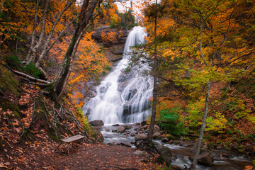 Close up of high waterfall river in autumn season. Gushing water fall in an autumn forest landscape. Autumn waterfall view in Cape Breton. Beulach Ban Falls, Cape Breton, Nova Scotia, Canada