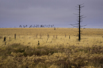 Naturpark High Fens-Eifel in Belgium