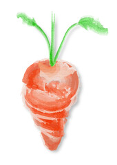 Karotte Aquarell