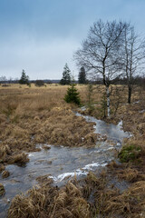 Naturpark High Fens-Eifel in Belgium