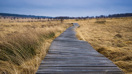 Naturpark High FensEifel Belgium 