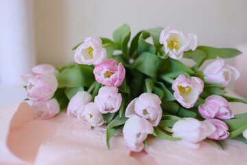 Naklejka na ściany i meble bouquet of tulip flowers on a pink background