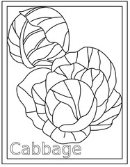 
Trendy design of cabbage coloring page 

