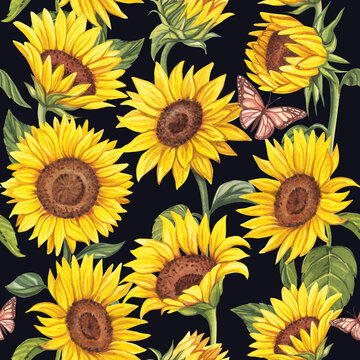Watercolor pattern with sunflowers and butterflies on a black background. Bright summer background.