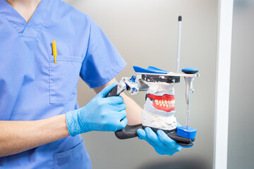 The dentist holds a dental articulator in his hands for the correct bite.