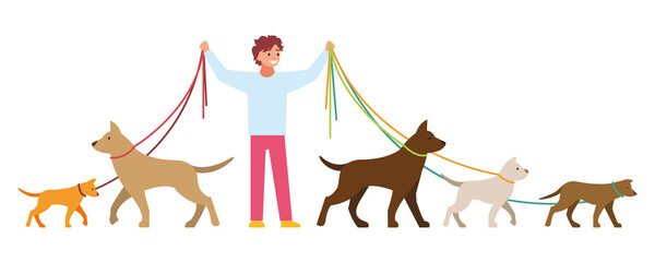 Professional dog walking. A man walks with a pet. Vector illustration isolated on white background