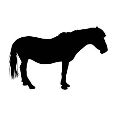 tarpan from profile silhouette