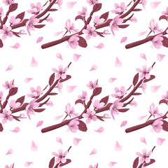 Cherry blossom branch vector seamless pattern. Pink blooming flowers and petals on white background. Gentle spring floral seamless pattern.