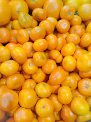 close up of a lot of oranges