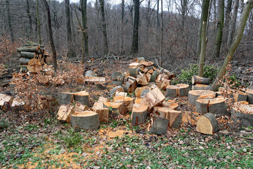 Holz machen