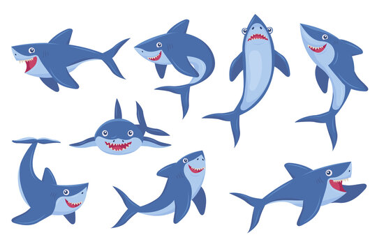 Cute smiling shark flat pictures collection. Cartoon comic predator fish in different poses isolated on white background vector illustrations. Underwater wildlife and ocean animals concept