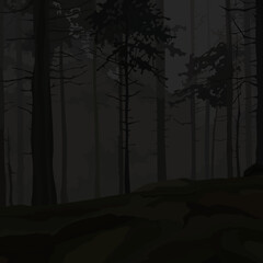 dark background of night forest with pine trees silhouettes