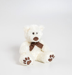 Toy polar bear. Soft toy on a white background.