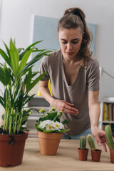 woman planting houseplants at home