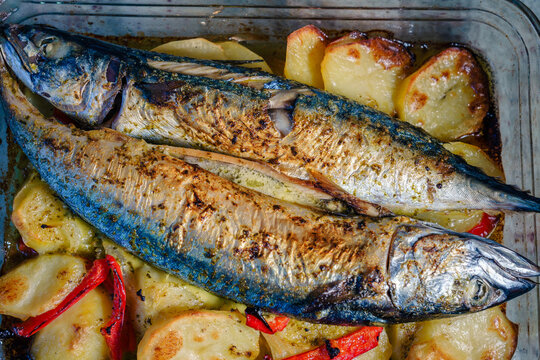 Fuente de caballa con patatas al horno