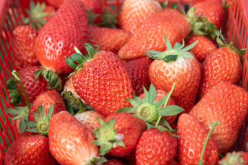 strawberry on market