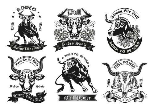 Black label designs with bull vector illustration set. Vintage badges with running ox, bull head and skull. Rodeo show and farm animals concept can be used for retro template, banner or poster