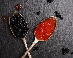 black caviar of paddlefish fish and red chum salmon caviar in a spoon