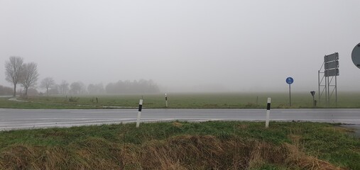 autumn in the forest