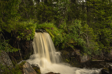 Fototapeta na wymiar Small waterfall in the middle of a forest in northern Sweden