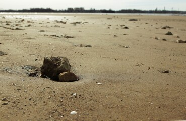 Two rocky stones on sandy sea beach sprinkled with seashells and rocks during early spring day near harbour in Riga, Latvia