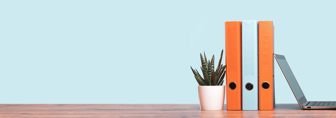 Slim laptop. Blue and orange document binders or lever arch file on an neat office shelf or desk. Cactus in a pot. Business concept banner. Copy space - obrazy, fototapety, plakaty