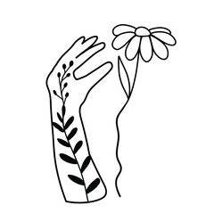 Mehndi woman hands with wild flowers chamomile daisy. Linocut black and white line art graphic. Magic boho line art herbal farmhouse rustic wild flowers decor elements. Gardening