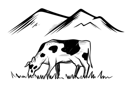 Cow eating grass on meadow with mountains, vector