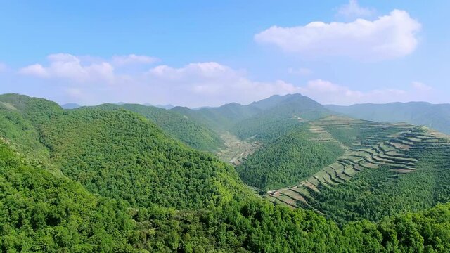 Aerial view of green mountains and nice terraces under blue sky and white clouds