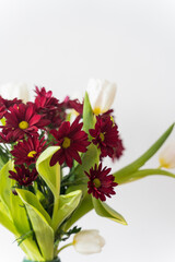 Naklejka na ściany i meble Bouquet of tulips and chrysanthemums in a vase on a white background. High-quality photo