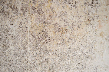 The texture of the white walls covered in black mold