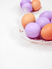Colored eggs on plate with on white background. Copy space.  Easter concept.