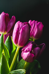 Lilac purple tulip flowers on table. Spring bouquet flowers in vintage vase. Floral concept. Floral background. Dark black background.