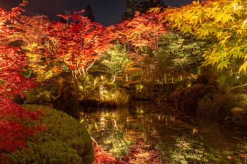 池とライトアップされた紅葉