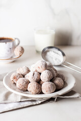 Homemade cottage cheese donuts balls with powdered sugar in a bowl on a light background. Beautiful breakfast. 
